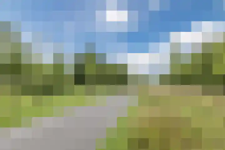 Rottumeroog 100 Hoofddorp thumbnail 32