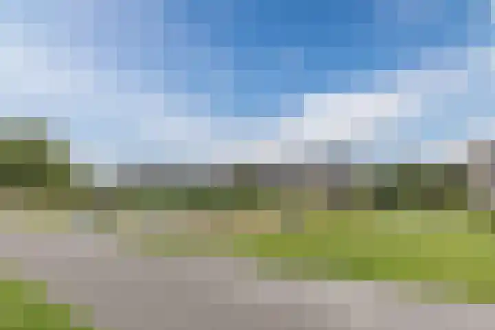 Rottumeroog 100 Hoofddorp thumbnail 33