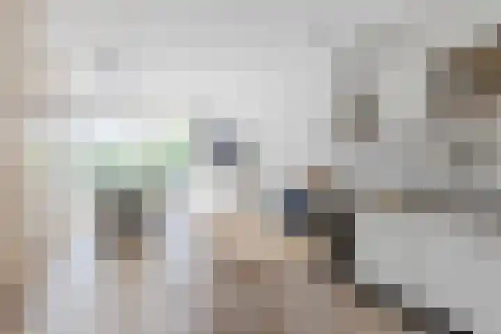 Rottumeroog 100 Hoofddorp thumbnail 4