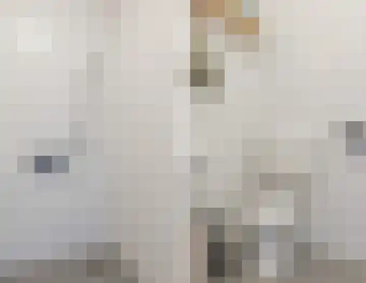 Rottumeroog 100 Hoofddorp thumbnail 5
