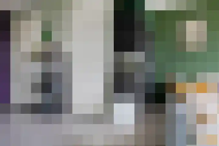 Rottumeroog 114 Hoofddorp thumbnail 11
