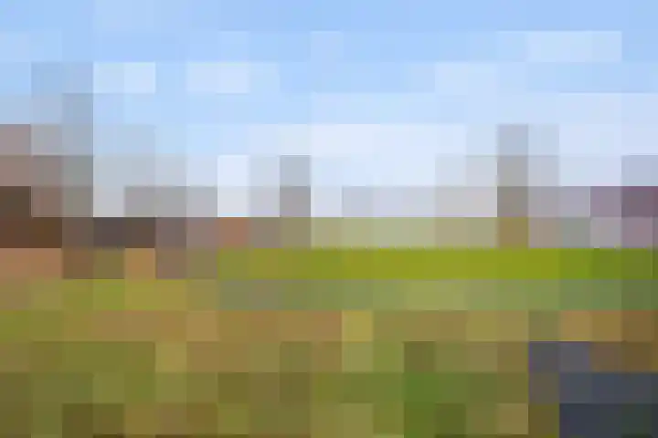 Rottumeroog 114 Hoofddorp thumbnail 22
