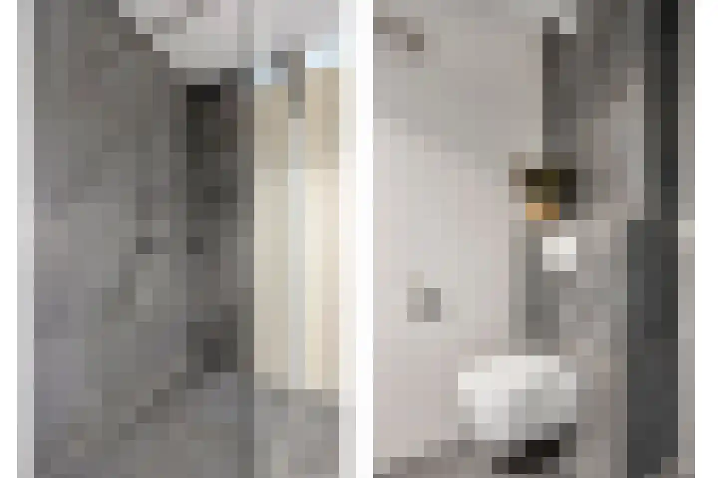 Rottumeroog 115 Heemskerk thumbnail 21