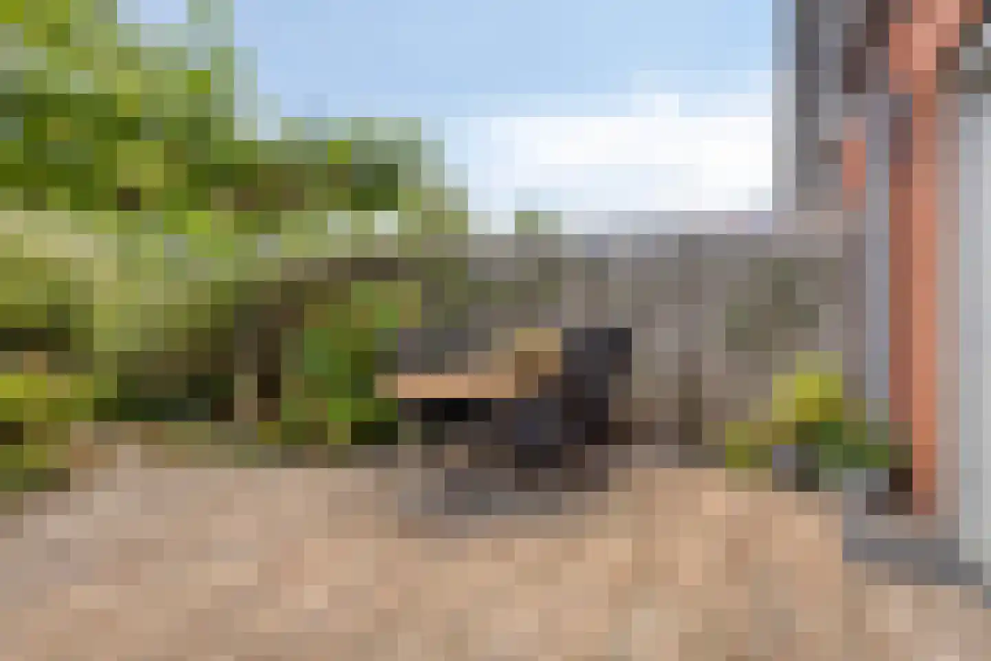 Rottumeroog 115 Heemskerk thumbnail 27