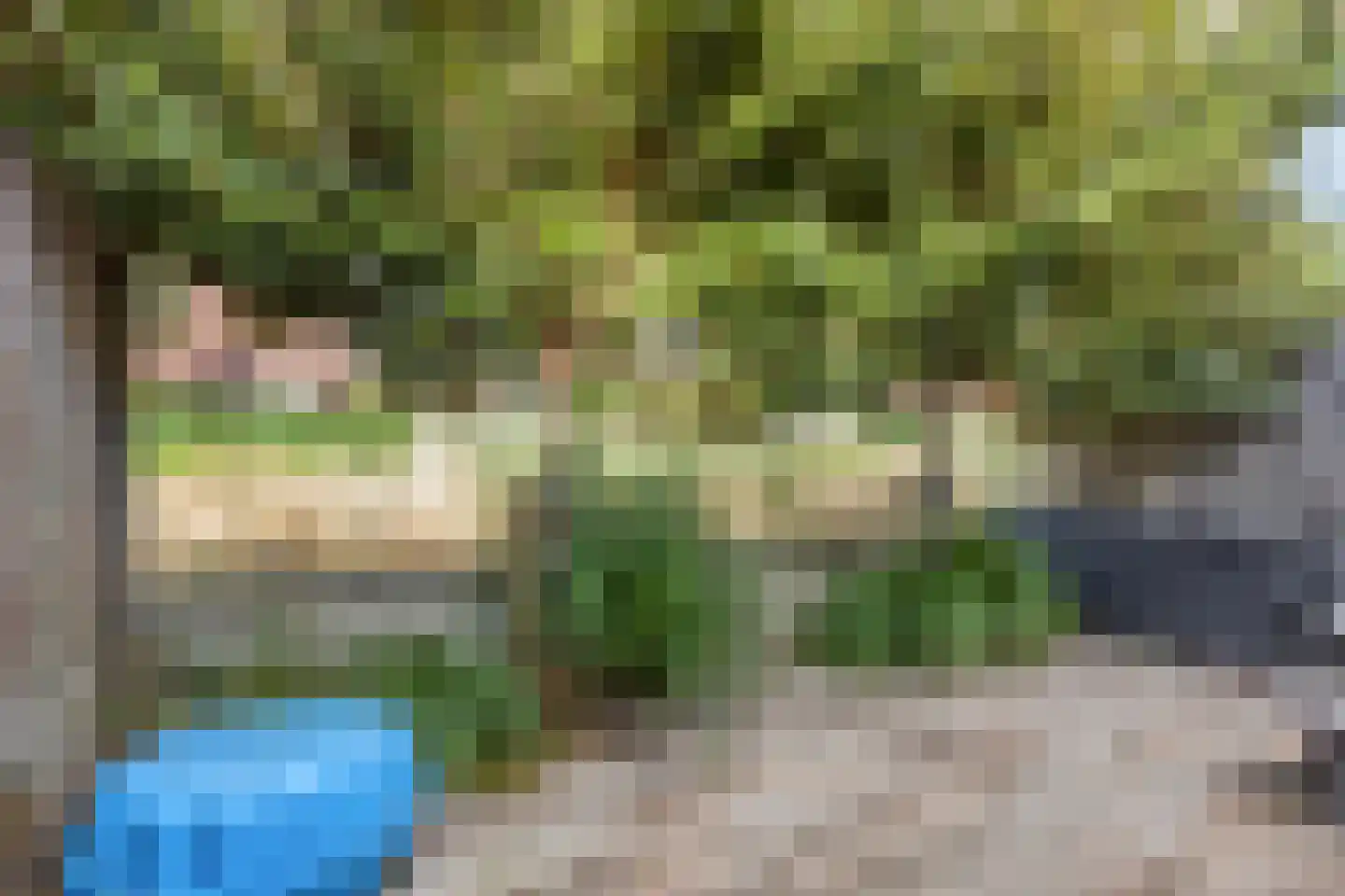 Rottumeroog 115 Heemskerk thumbnail 31