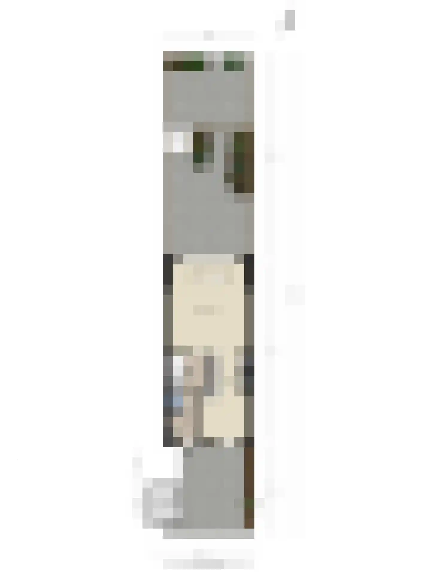 Rottumeroog 115 Heemskerk thumbnail 36