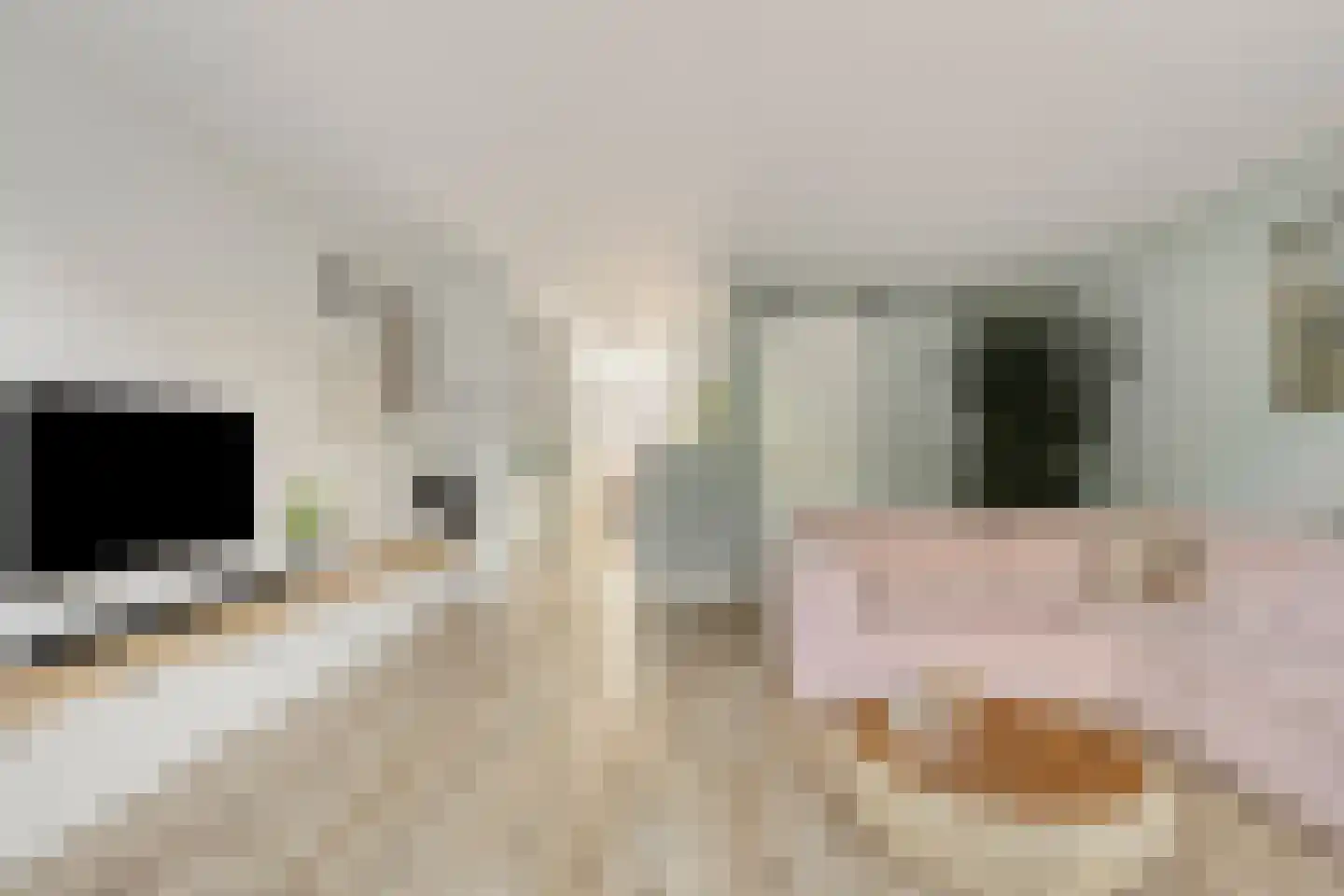 Rottumeroog 115 Heemskerk thumbnail 5
