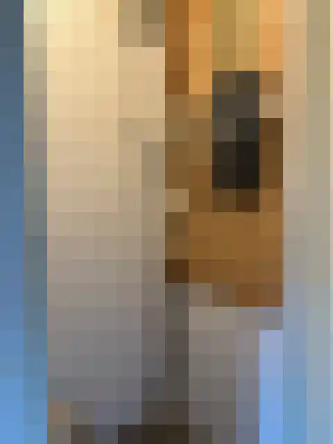 Rottumeroog 118 Hoofddorp thumbnail 17