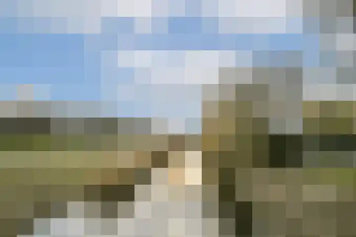 Rottumeroog 124 Hoofddorp thumbnail 16