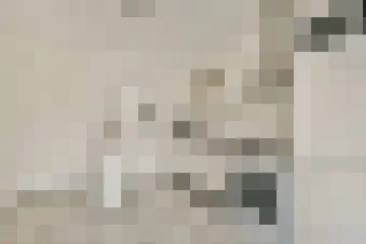 Rottumeroog 124 Hoofddorp thumbnail 5