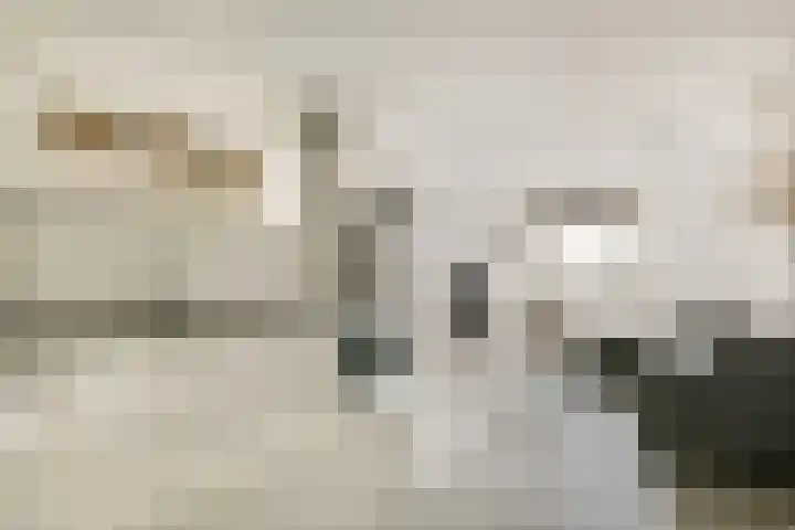 Rottumeroog 124 Hoofddorp thumbnail 7