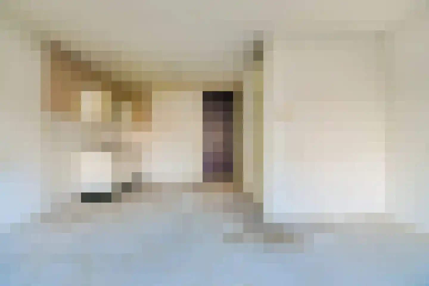 Rottumeroog 126 Hoofddorp thumbnail 22