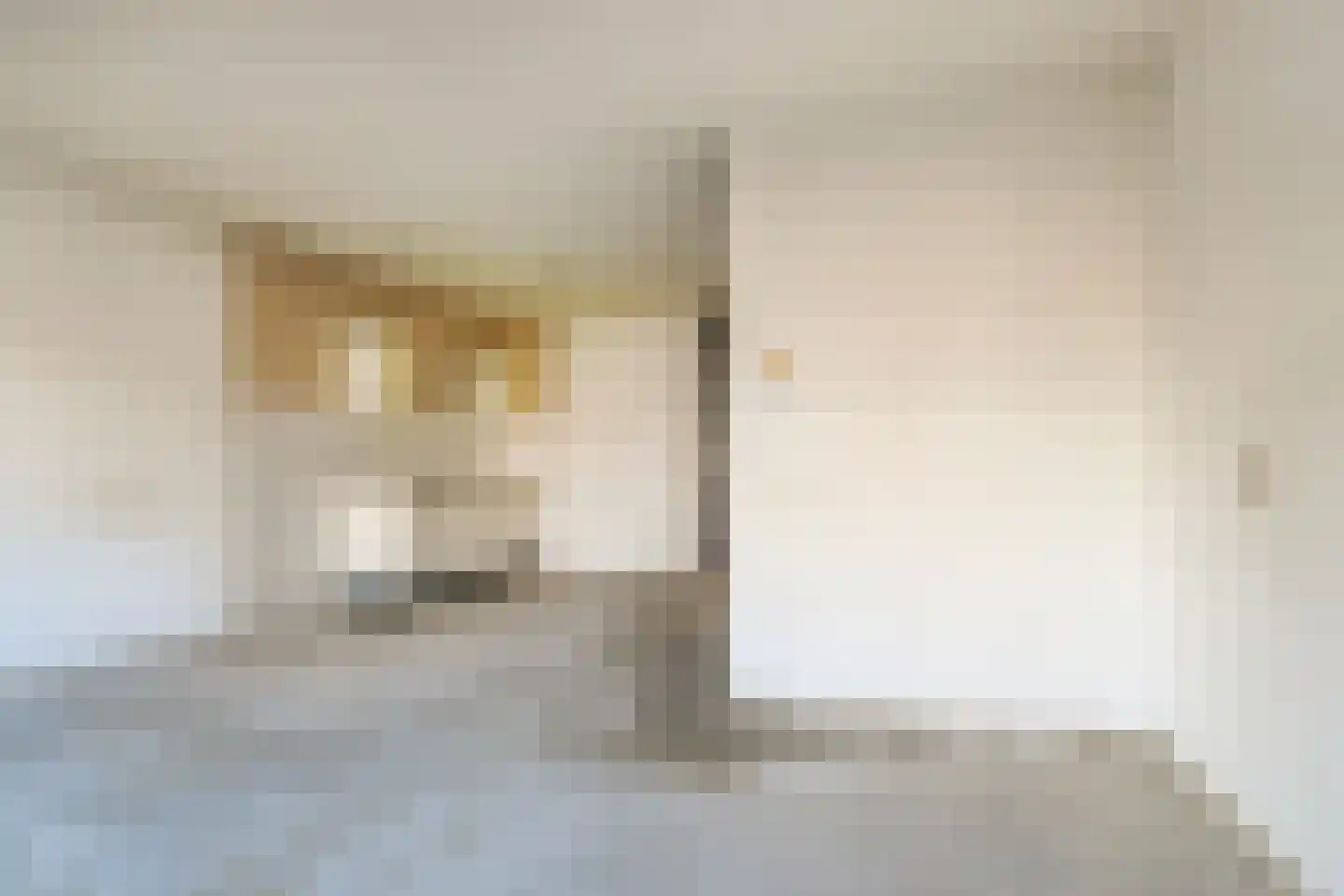 Rottumeroog 126 Hoofddorp thumbnail 23