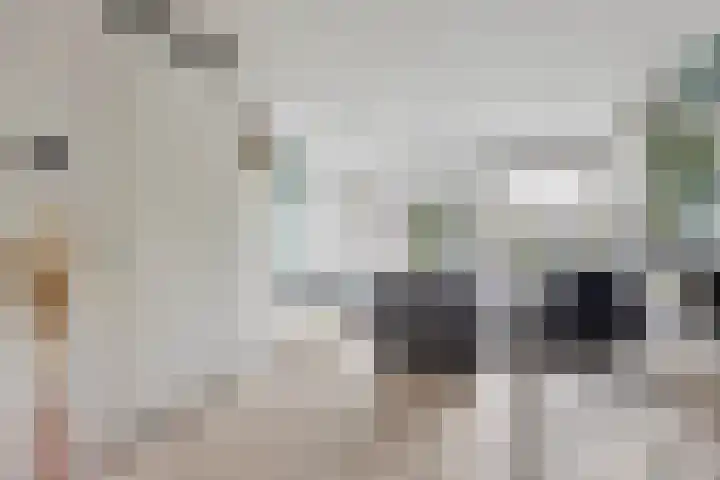 Rottumeroog 134 Hoofddorp thumbnail 10