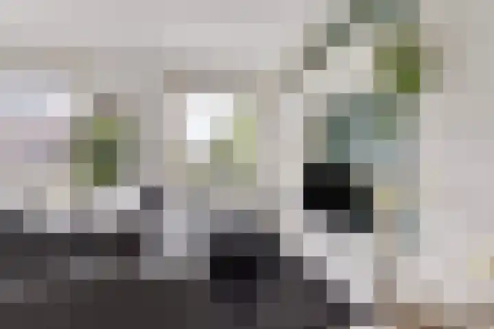 Rottumeroog 134 Hoofddorp thumbnail 11
