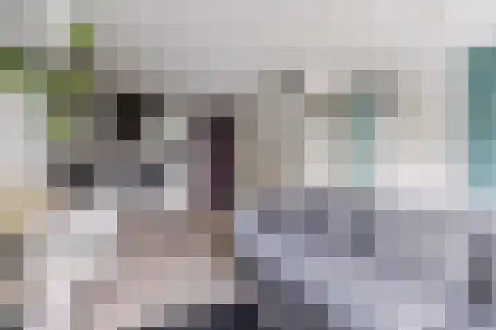 Rottumeroog 134 Hoofddorp thumbnail 12