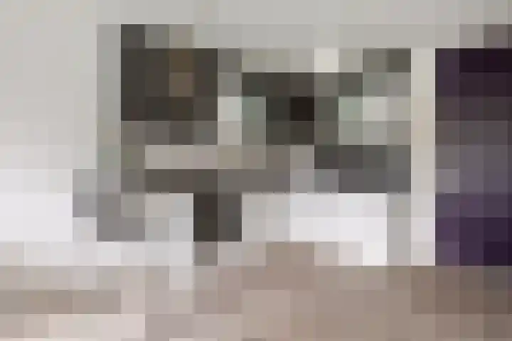 Rottumeroog 134 Hoofddorp thumbnail 14