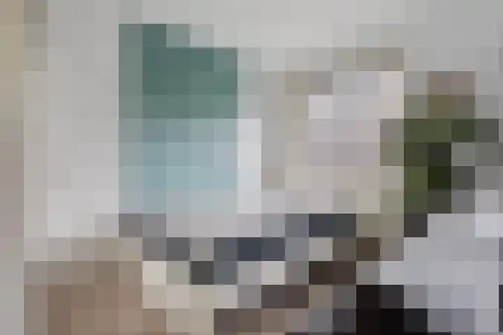 Rottumeroog 134 Hoofddorp thumbnail 17