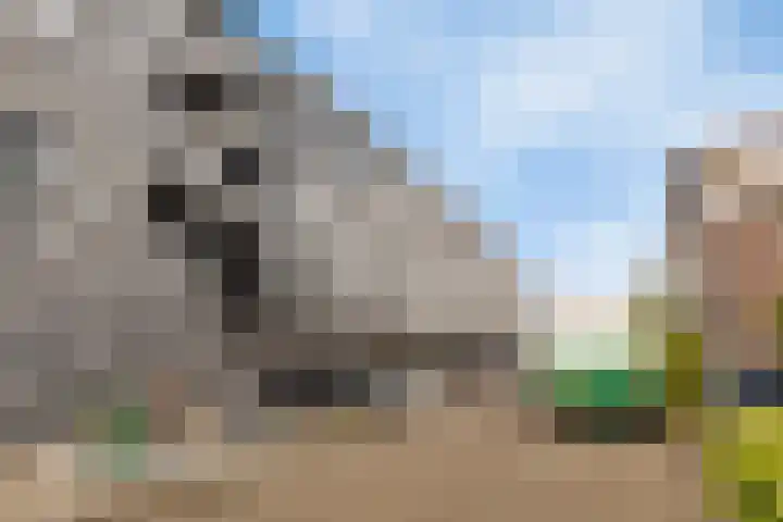 Rottumeroog 134 Hoofddorp thumbnail 4