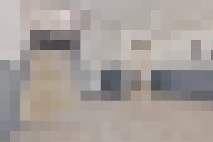 Rottumeroog 134 Hoofddorp thumbnail 8