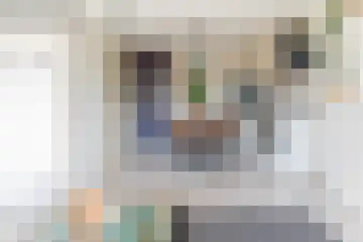 Rottumeroog 136 Hoofddorp thumbnail 15