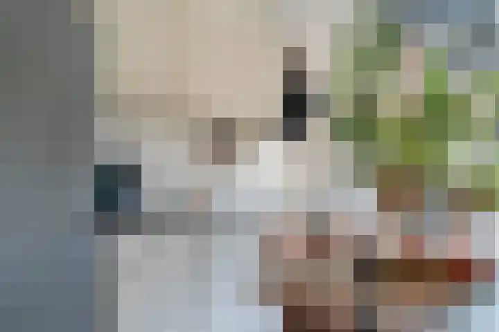 Rottumeroog 136 Hoofddorp thumbnail 18