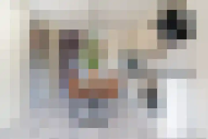 Rottumeroog 136 Hoofddorp thumbnail 4