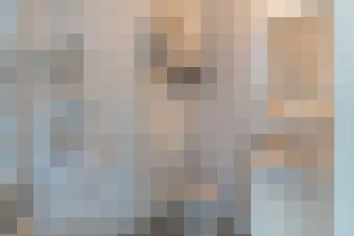 Rottumeroog 136 Hoofddorp thumbnail 5