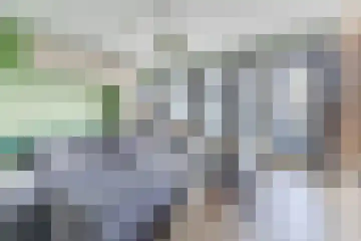 Rottumeroog 150 Hoofddorp thumbnail 14