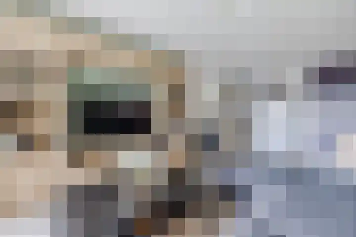 Rottumeroog 150 Hoofddorp thumbnail 16