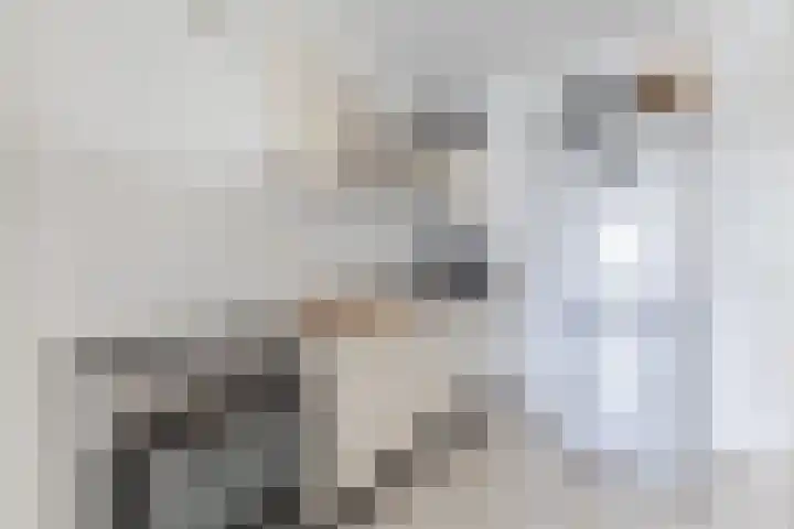 Rottumeroog 150 Hoofddorp thumbnail 18