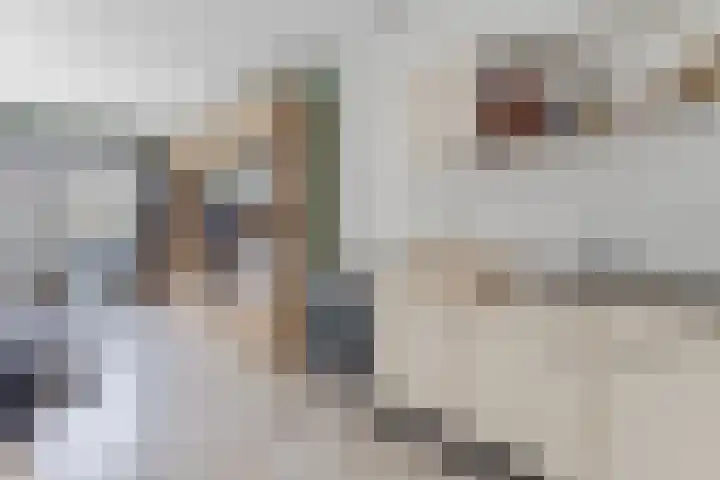 Rottumeroog 150 Hoofddorp thumbnail 19
