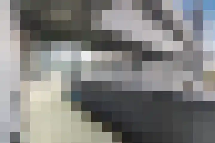 Rottumeroog 150 Hoofddorp thumbnail 24