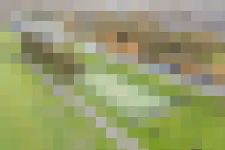 Rottumeroog 150 Hoofddorp thumbnail 30