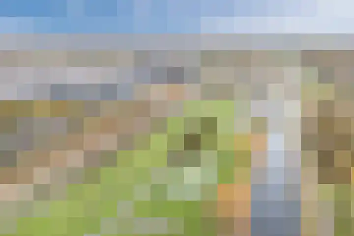 Rottumeroog 150 Hoofddorp thumbnail 31