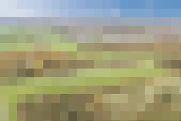 Rottumeroog 150 Hoofddorp thumbnail 32