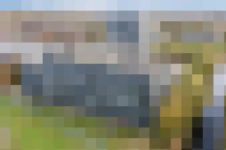Rottumeroog 150 Hoofddorp thumbnail 4