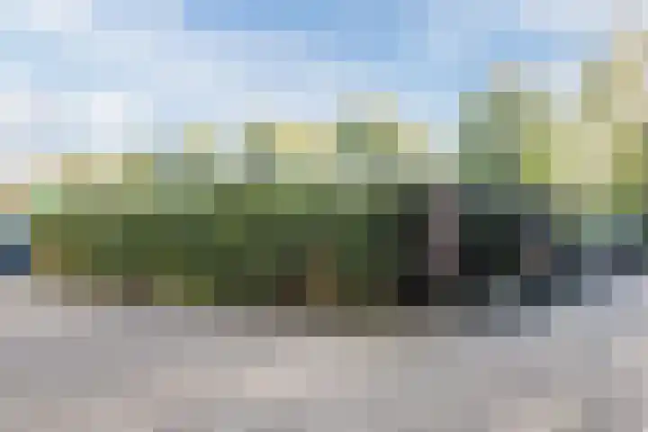 Rottumeroog 170 Hoofddorp thumbnail 23