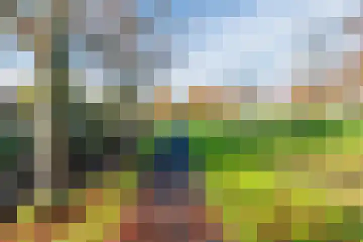 Rottumeroog 170 Hoofddorp thumbnail 24