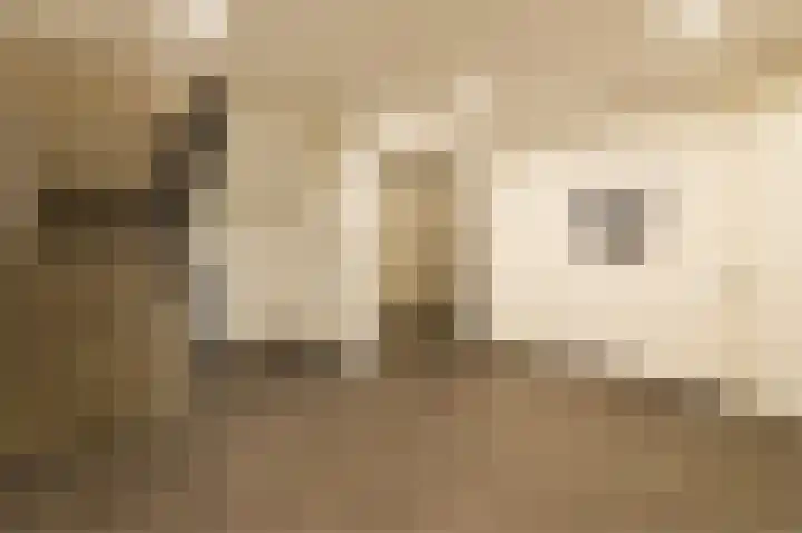 Rottumeroog 170 Hoofddorp thumbnail 26