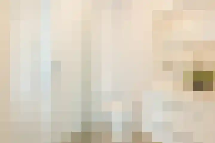 Rottumeroog 170 Hoofddorp thumbnail 4