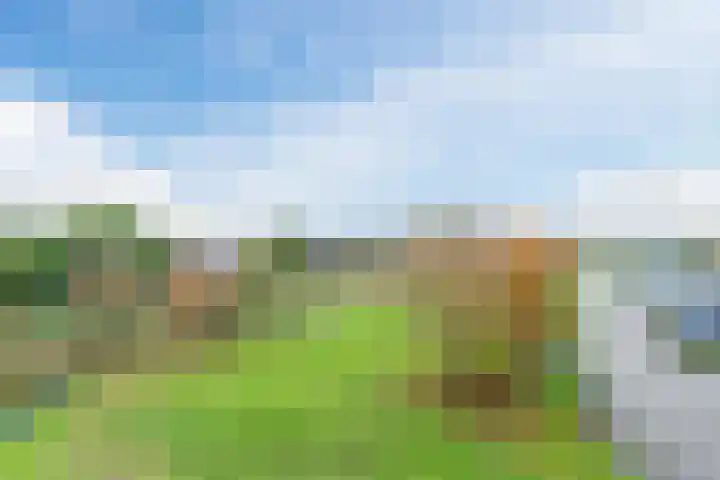 Rottumeroog 170 Hoofddorp thumbnail 5