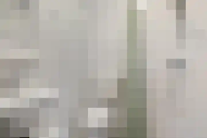 Rottumeroog 188 Hoofddorp thumbnail 17
