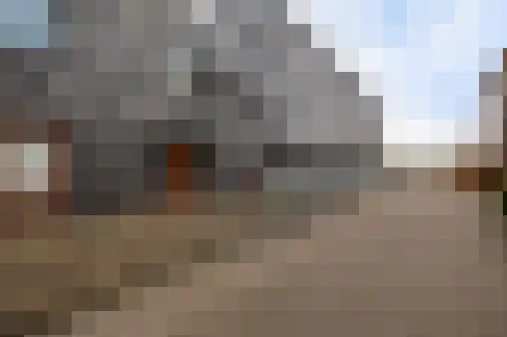 Rottumeroog 188 Hoofddorp thumbnail 25