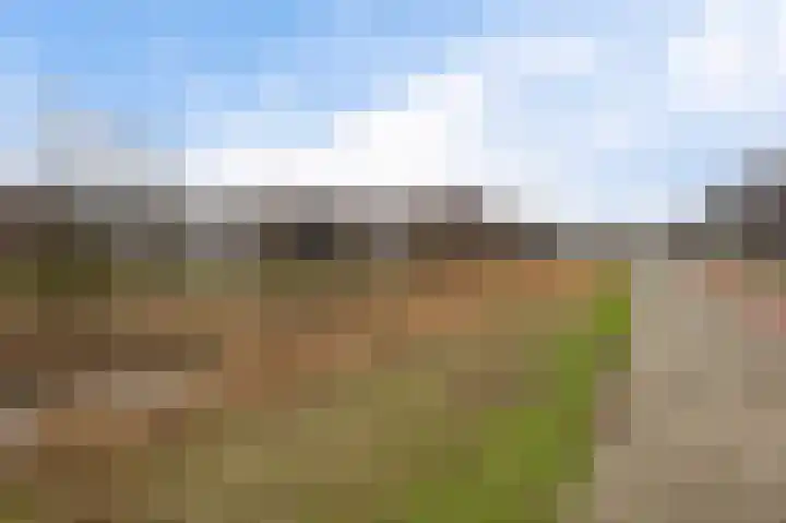 Rottumeroog 188 Hoofddorp thumbnail 30