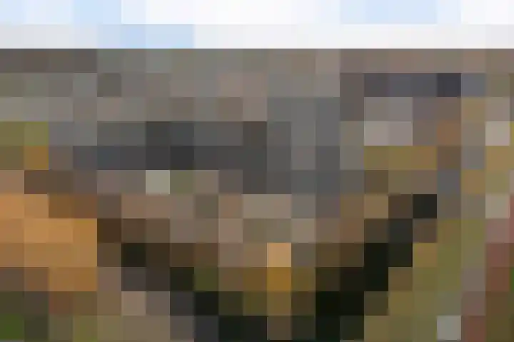 Rottumeroog 188 Hoofddorp thumbnail 6
