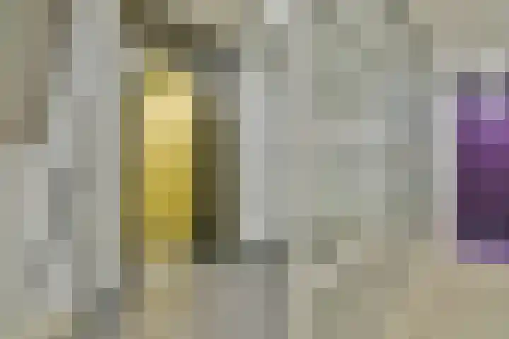 Rottumeroog 198 Hoofddorp thumbnail 13