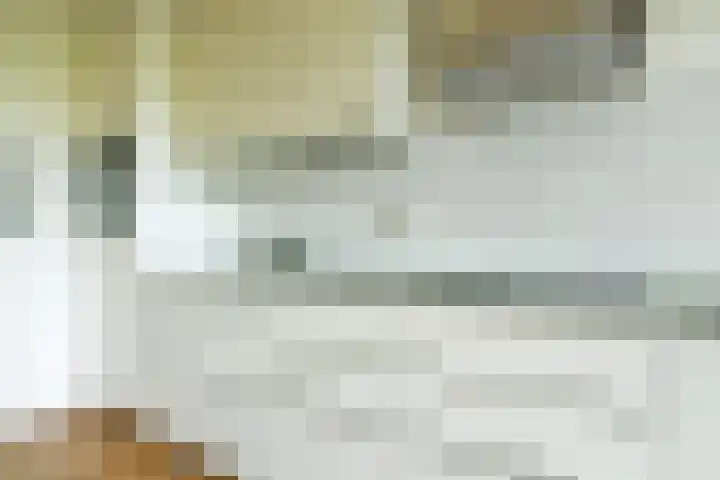 Rottumeroog 198 Hoofddorp thumbnail 20