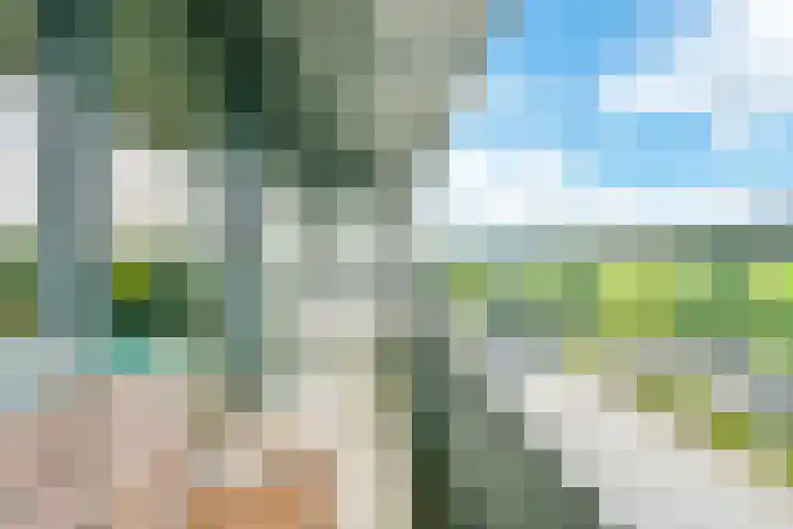 Rottumeroog 198 Hoofddorp thumbnail 24