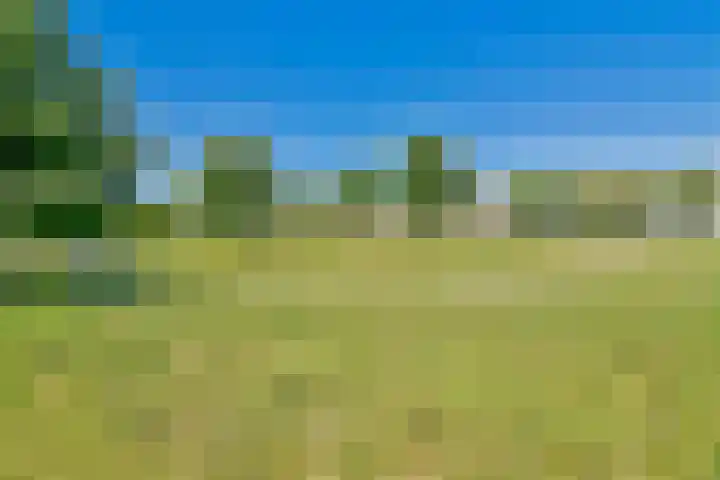 Rottumeroog 198 Hoofddorp thumbnail 5